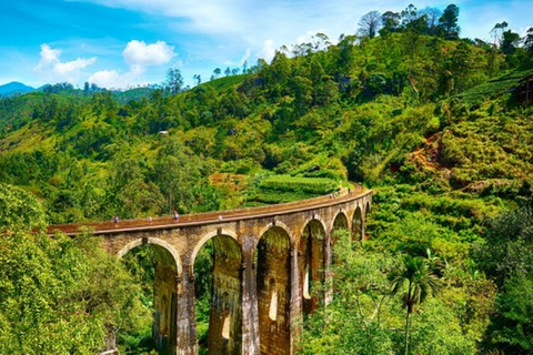 Explore o charme de Ella: Traslado de Tuk Tuk até a Nine Arch Bridge