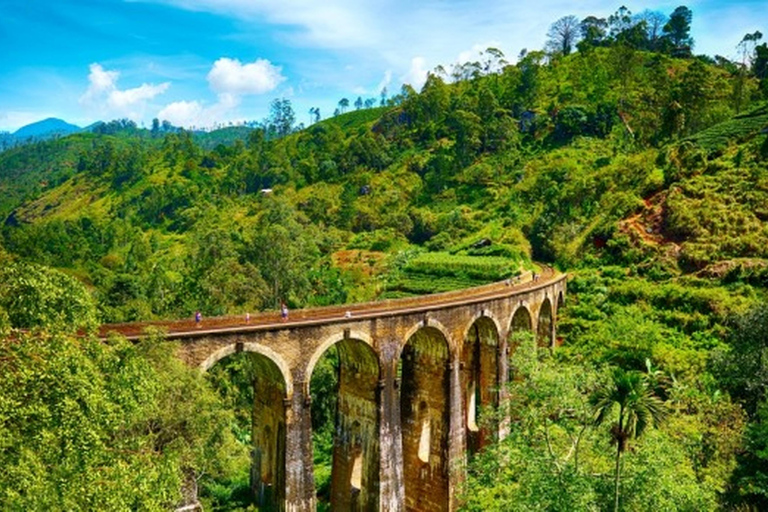 Explorez le charme d&#039;Ella : transfert en tuk tuk au Nine Arch Bridge