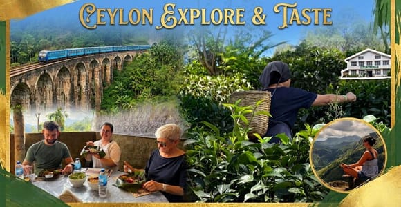 Ella: Nine Arch Bridge, Cooking Class, and Tea Factory Tour