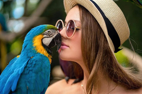 Bali Half Day: Bird Park & Ancient Temple