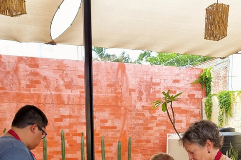 Oaxaca: Cooking Class with local Chef