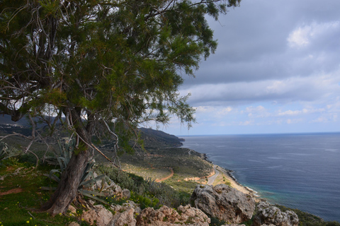 Crete: Wine & Olive Oil Tasting & Historic Villages Tour