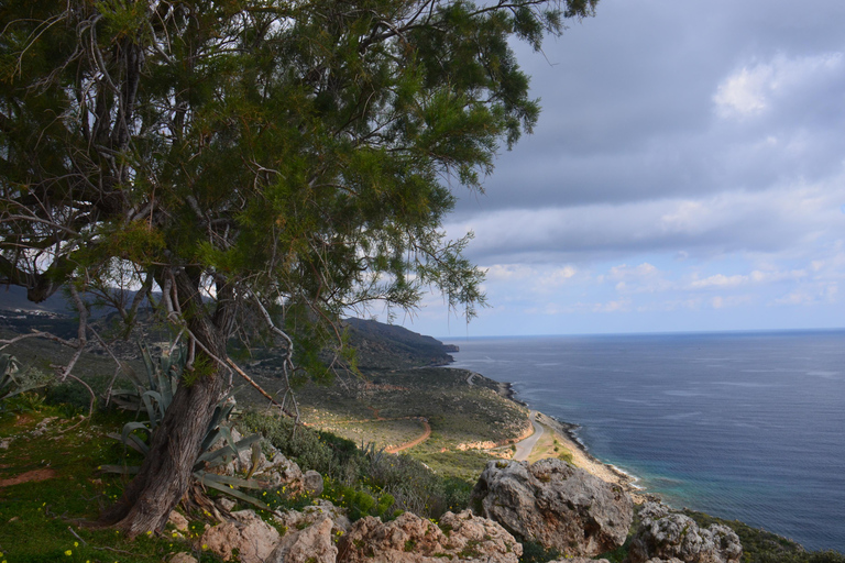 Crete: Wine & Olive Oil Tasting & Historic Villages Tour