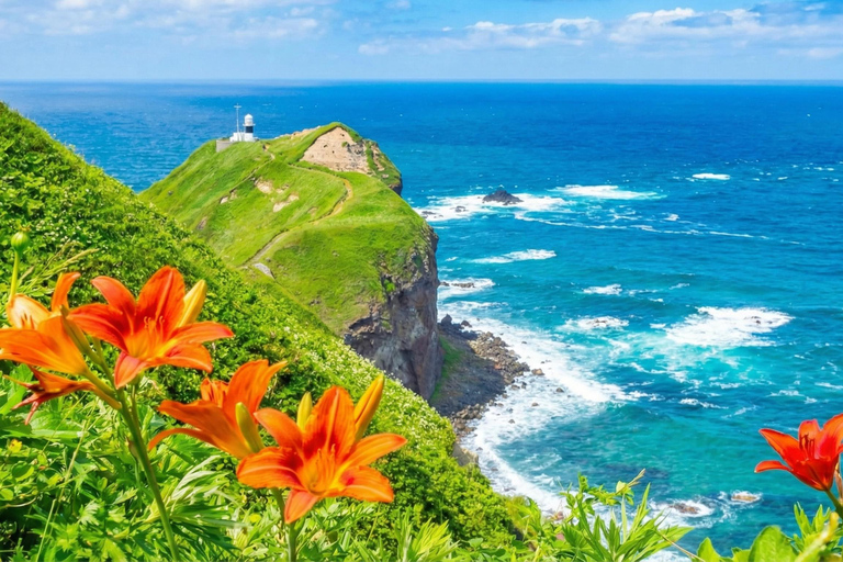 Sapporo: Otaru, Cape Kamui, and Blue Cave Summer Special 8;00 am meet at Odori Park subway station exit 31