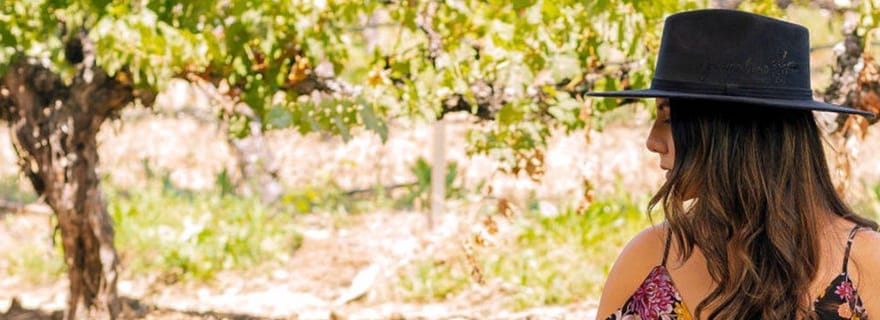 Visite de 3 vignobles à Santa Barbara avec pique-nique et dégustations