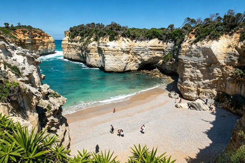 Great Ocean Road Boutique Minibus Reverse Tour & 12 Apostles Minibus Meeting Point Pickup (Max 23 Guests)