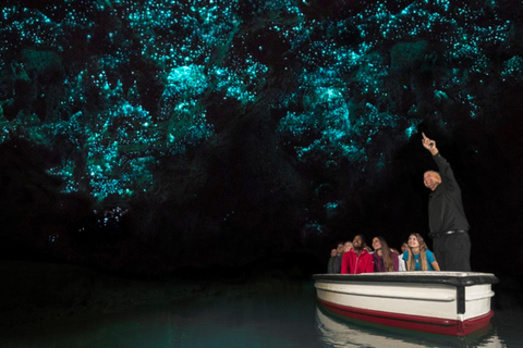 Da Rotorua ad Auckland - Trasferimento pomeridiano con Waitomo Caves