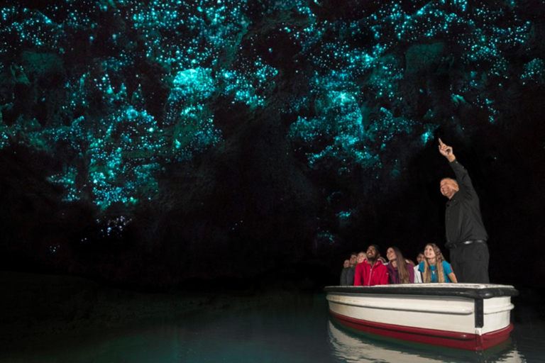 Da Rotorua ad Auckland - Trasferimento pomeridiano con Waitomo Caves
