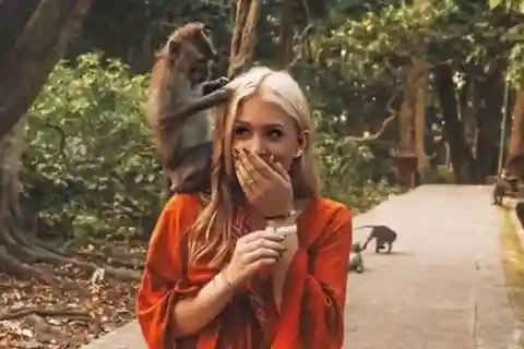 Ubud : visite d'une demi-journée avec balade dans la jungle et plus encore