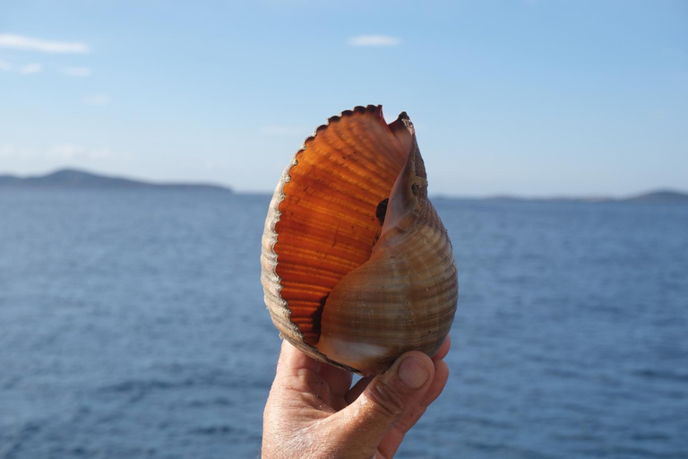 Naxos: Private Fishing Boat Trip with Fresh Onboard Meal