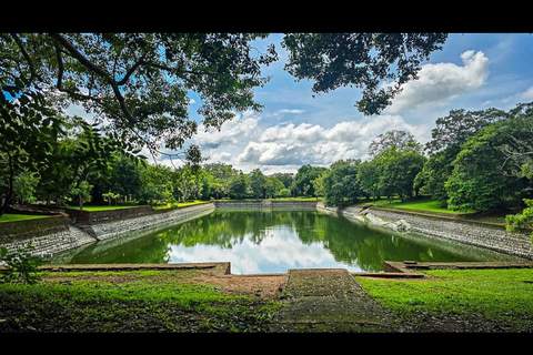 Sigiriya to Wilpattu Safari & Anuradhapura Cultural Day Tour