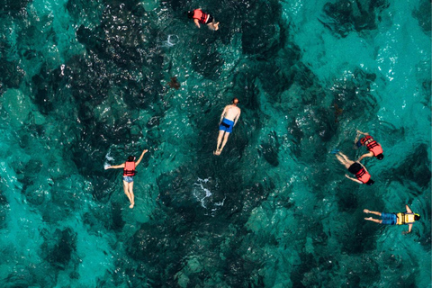 Mallorca: Palma Boat Tour & Snorkeling with Drink Included Day Cruise from Can Pastilla