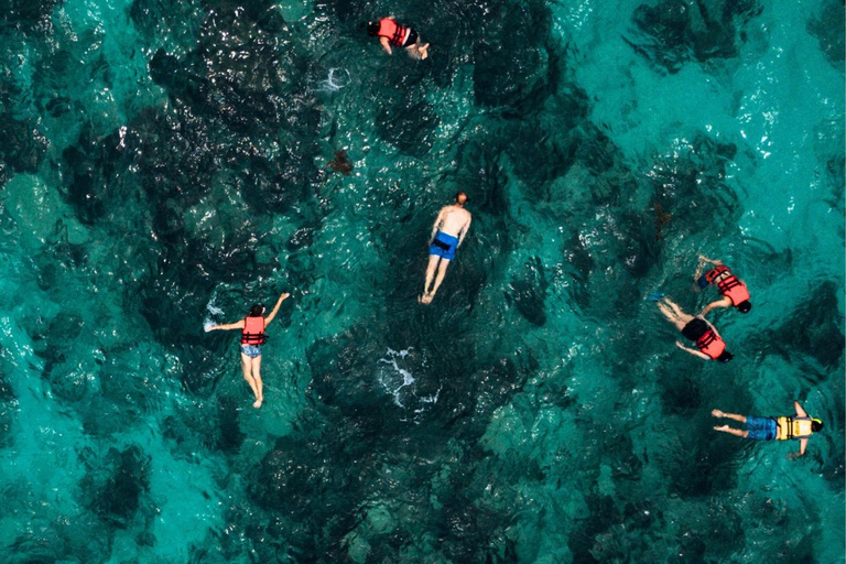 Mallorca: Palma Boat Tour & Snorkeling with Drink Included Day Cruise from Can Pastilla