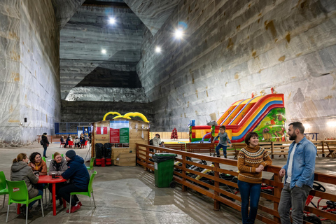 Slanic Salt Mine & Dracula's Tomb Guided Tour from Bucharest PRIVATE MINIVAN Slanic Salt Mine & Dracula Tomb Guided Tour
