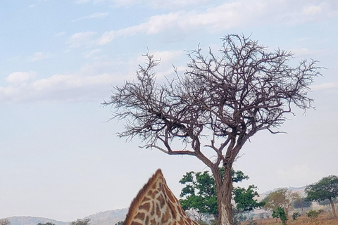 2 DNI 1 NOC PARK NARODOWY NYERERE Z ZANZIBARU LOTEM