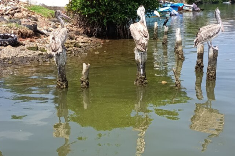 Negombo Lagoon private Tour