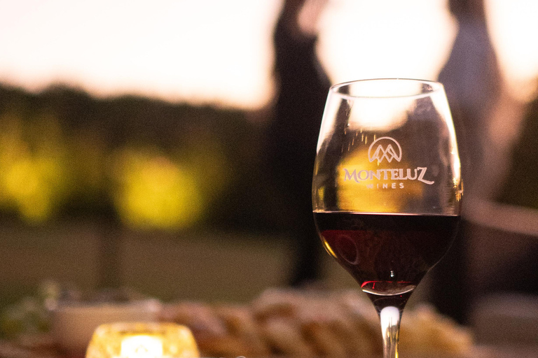 Santiago: Vinicola Monteluz Sunset Party Experience 360