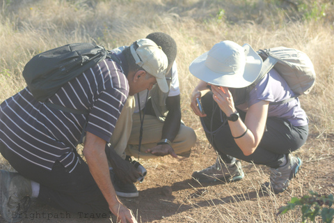 Livingstone: Private White Rhino Photography Safari