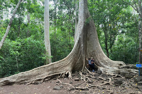 Cat Tien National Park 2-Day Tour By Motorbike/Car From HCMC Cat Tien National Park 2-Day Tour By Car