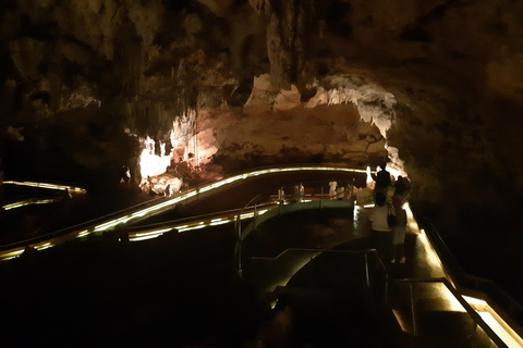 Punta Cana: Viagem Privada de Meio Dia Cultural com Sabores DominicanosPunta Cana: viagem cultural privada de meio dia pelos sabores dominicanos