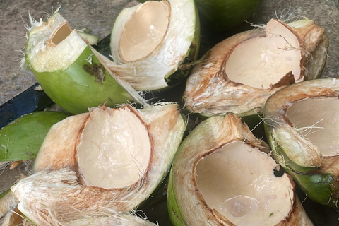 Guadeloupe half-day: immersive tour in the heart of sugar cane An immersive half-day in the heart of Guadeloupe's sugar cane