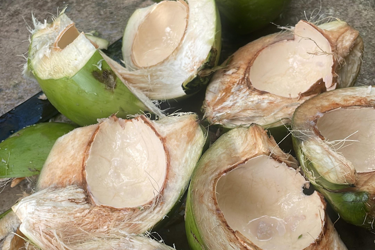 Guadeloupe half-day: immersive tour in the heart of sugar cane An immersive half-day in the heart of Guadeloupe's sugar cane