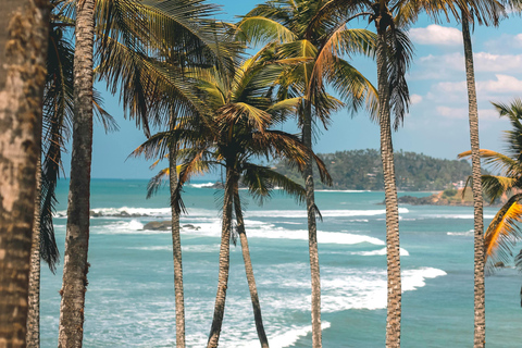 De Colombo: Excursão de 10 dias ao Sri Lanka com guia e hotel