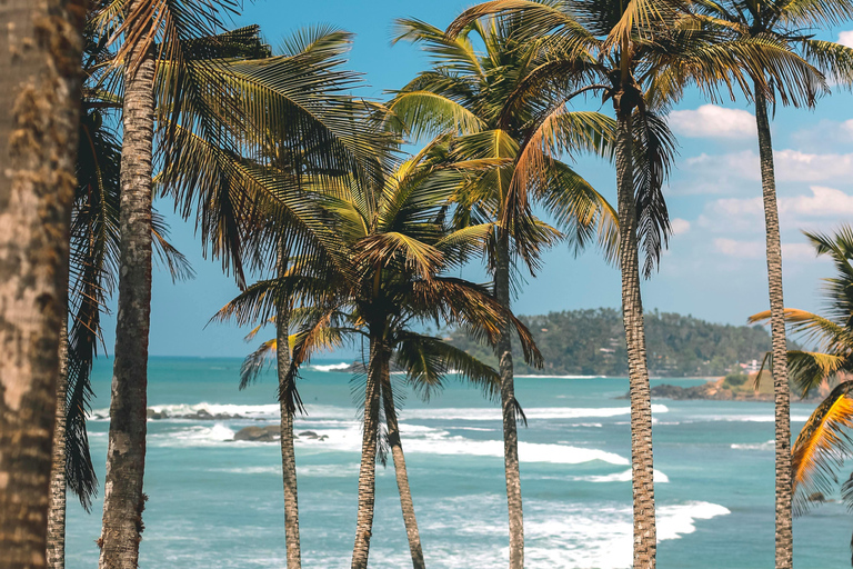 De Colombo: Excursão de 10 dias ao Sri Lanka com guia e hotel