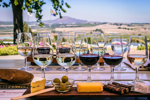 Cape Town: Stellenbosch Wine Region Private Tour