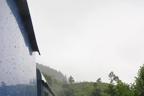 Kandy: Nanu Oya Scenic First Class Railway Experience