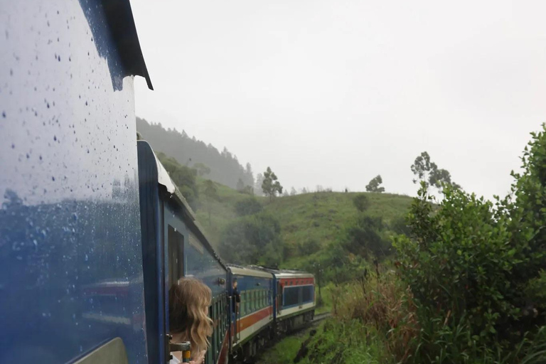Kandy: Nanu Oya Scenic First Class Railway Experience