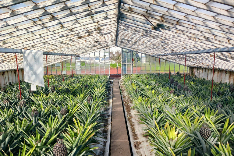 Traditions & Flavors of São Miguel Tour