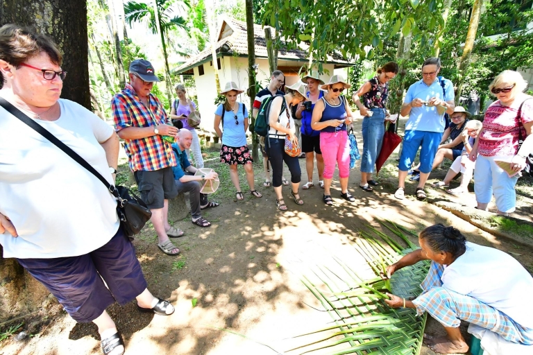 Kumbalangi : visite guidée du premier village touristique de l'Inde