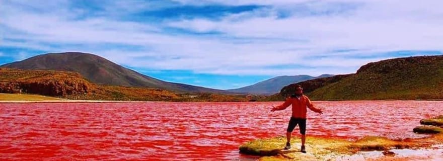 Iquique : Visite de la lagune rouge