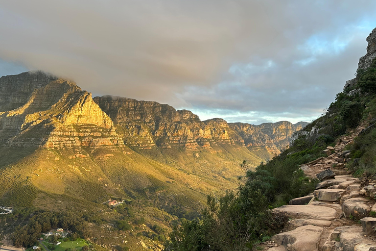 Excursión a Lion&#039;s Head: Ciudad del Cabo - Excursión al amanecer o al atardecerTour privado - Amanecer o Atardecer con servicio de recogida y regreso