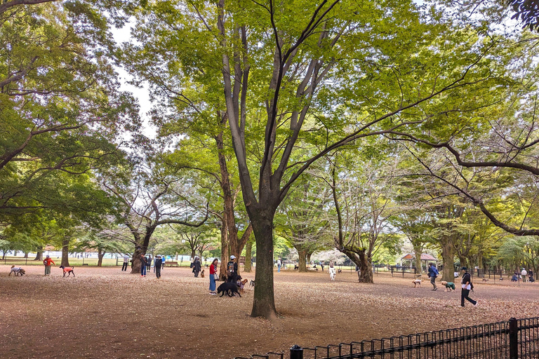 Tokyo: Private Morning Run with Sento Bath Experience