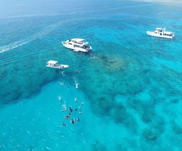 Half-Day Snorkeling Trip to Kerama & Marine Sports