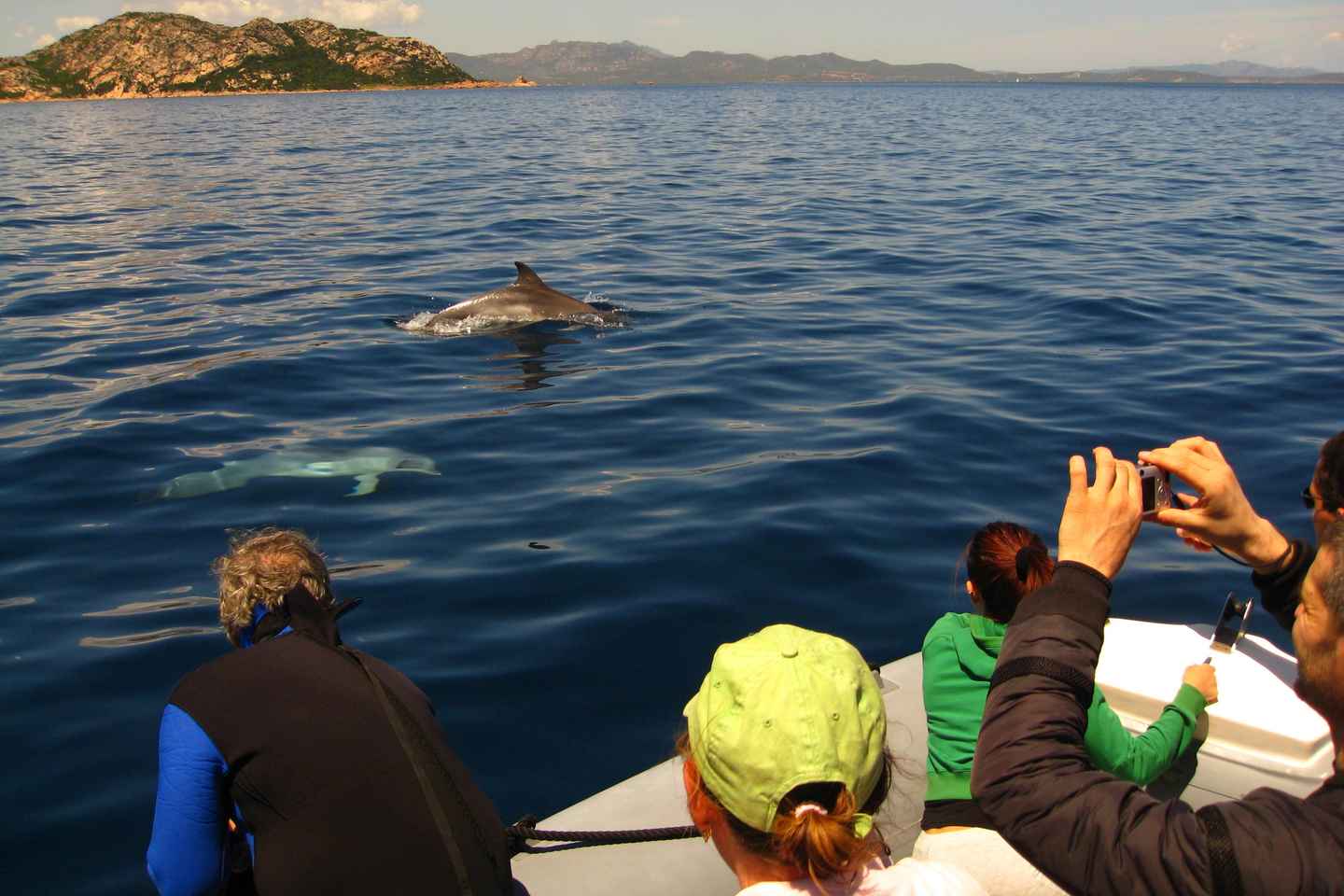 Dolphins: Dolphin Watching Tour and Capo Figari by Raft