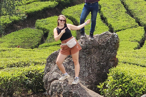 Vulcano, sorgenti calde, bagni di fango e tour del tè: tutto inclusoGiro aperto