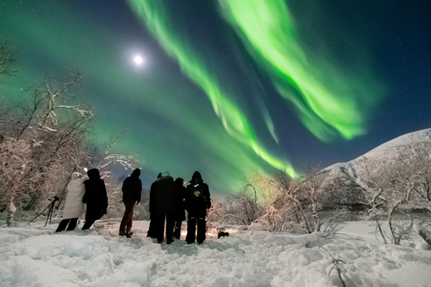 Tromsø: Northern Lights Tour (Max 8) Pickup + Finland