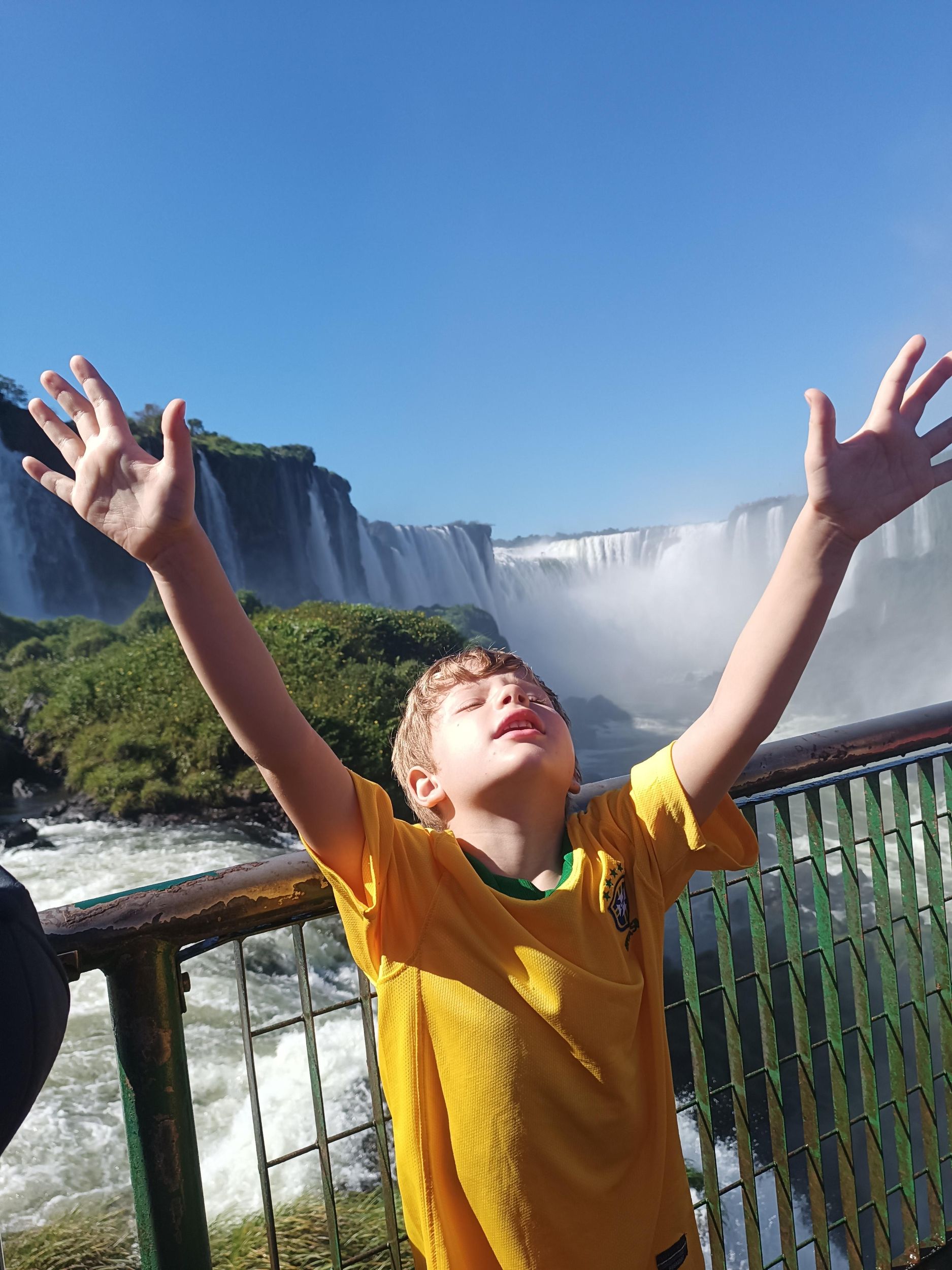 Private Tour – Iguazú-Wasserfälle argentinische Seite + Bootsoption