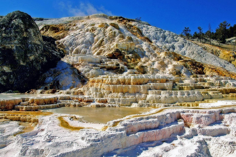 6 Días - El Salvaje Oeste de Yellowstone