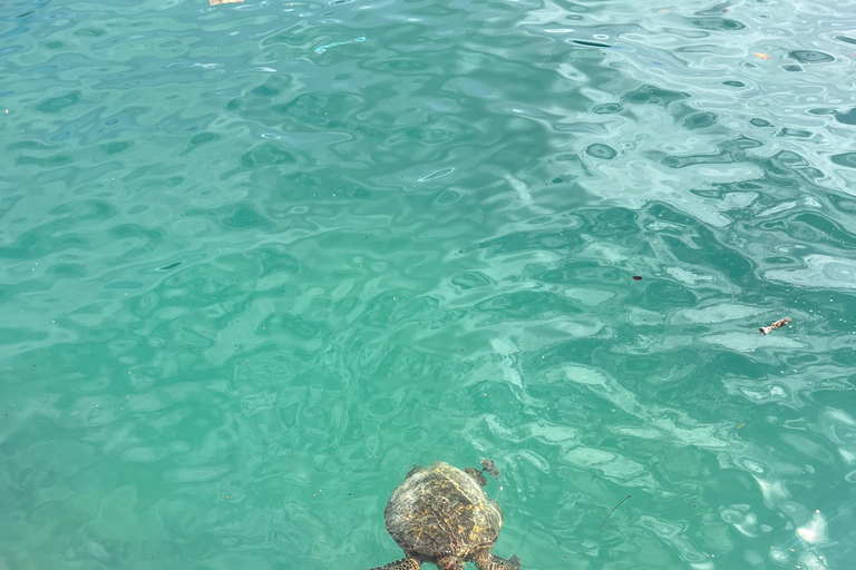 Galapagos: Exclusive 7-Day Tour – Santa Cruz, Isabela, and Santa Fe with Snorkeling Galapagos: Exclusive 7-Day Tour of Santa Cruz, Isabela, and Santa Fe with Snorkeling