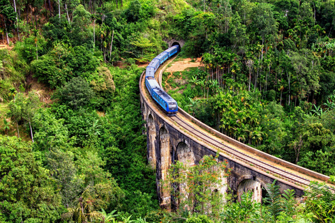 From Colombo: 3-Day Hill Country Escape with Train Ride