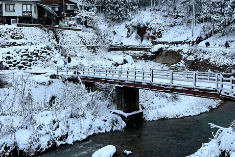 Depuis Tokyo : Excursion d&#039;une journée au parc des singes des neiges de Nagano et au temple Zenkoji