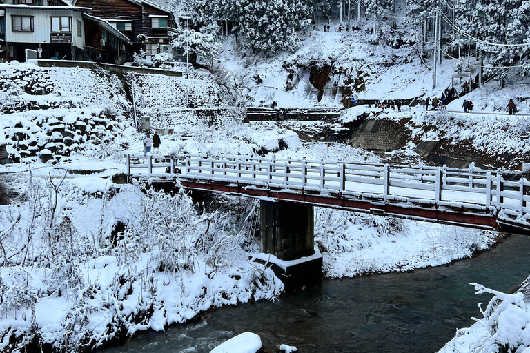 Depuis Tokyo : Excursion d&#039;une journée au parc des singes des neiges de Nagano et au temple Zenkoji