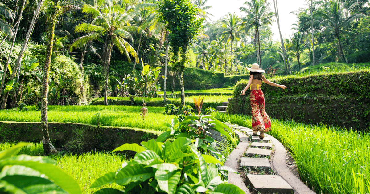 Bali Bliss: Rice Terraces, Monkey Forest, Waterfalls & More | GetYourGuide