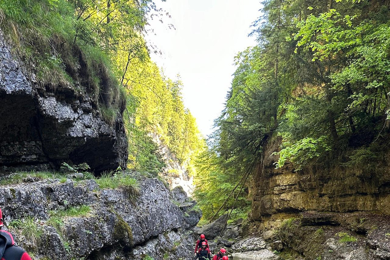 Wiestal: Canyoning in der Almbachklamm - Swiss Cheese Tour
