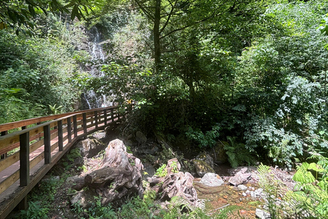 Visite d&#039;une jounée de Batumi aux chutes d&#039;eau