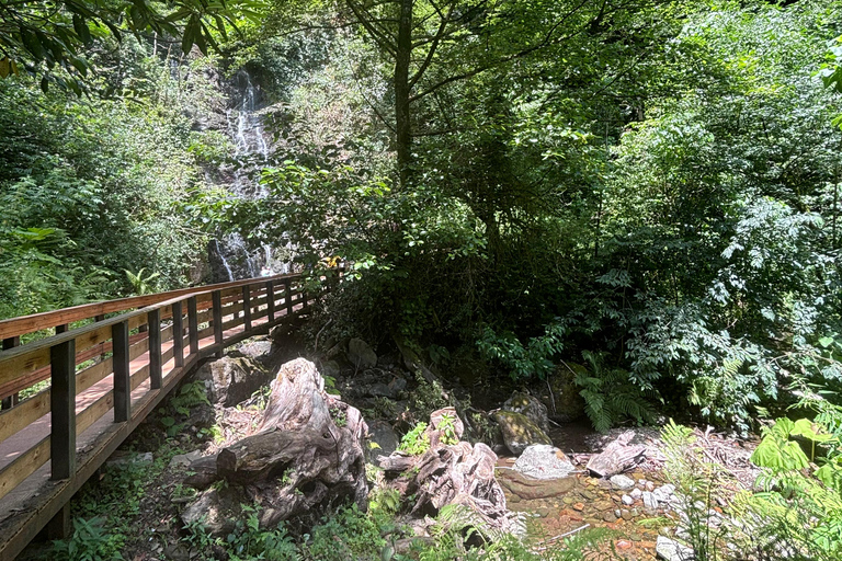 Visite d&#039;une jounée de Batumi aux chutes d&#039;eau